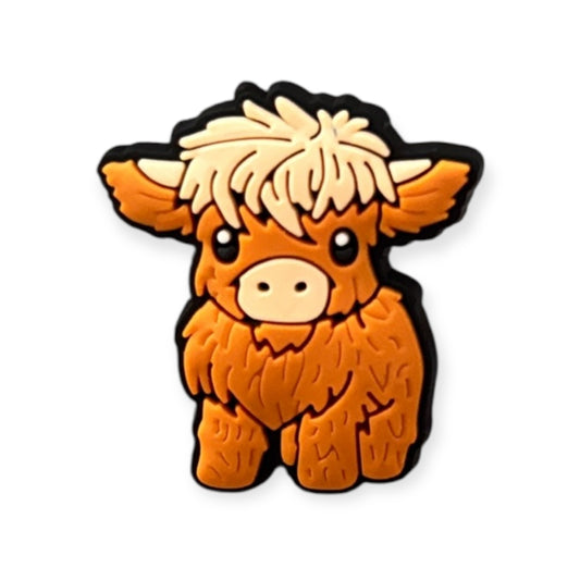 Highland Cow 4