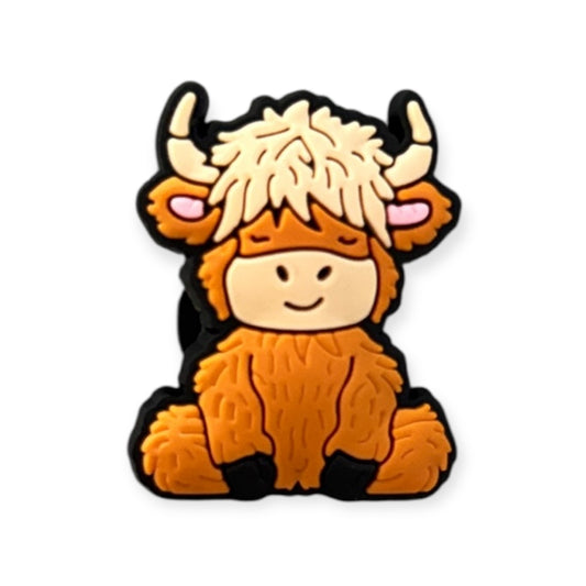 Highland Cow 5