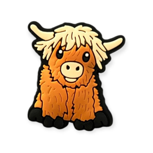 Highland Cow 6